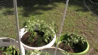 Nature's Care Garden Soils comparisons