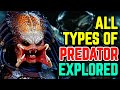 All (38) Types Of Yautjas (Predators) - Backstories/Species Explored