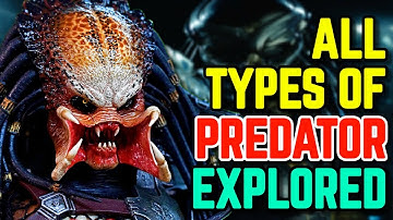 All (38) Types Of Yautjas (Predators) - Backstories/Species Explored