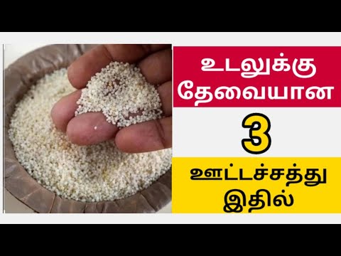 Hidden Medicinal benefits of Samai arisi | vital 3 amino acids - YouTube