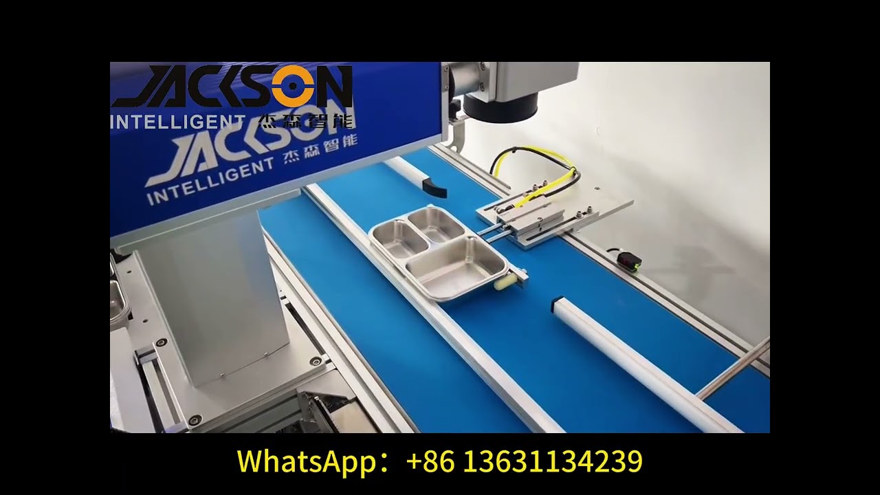 🔥Laser Marking Machine With Conveyor