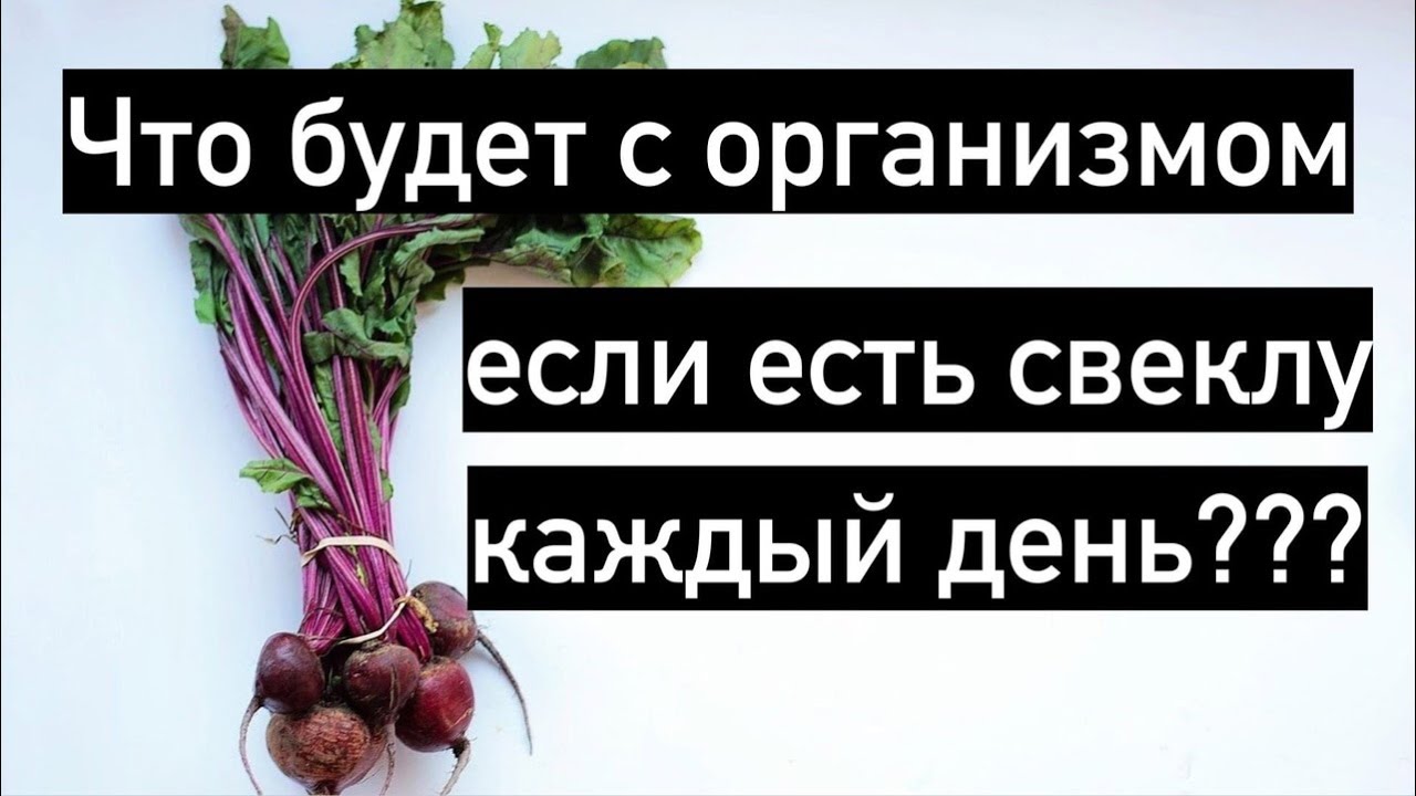 Вареная свекла сколько в день. Если есть свеклу каждый день. Свекла каждый день. Что будет если есть свеклу каждый день. Если кушать каждый день свеклу.