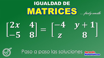 IGUALDAD DE MATRICES. Como encontrar el valor de las variables para establecer la igualdad.