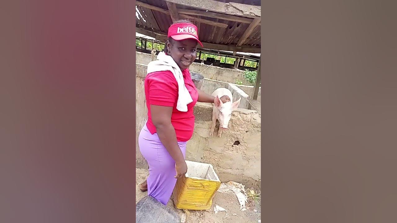 this-is-the-biggest-pig-farm-in-africa-youtube