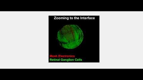 Overview of Conformal Mesh-Retina Interface