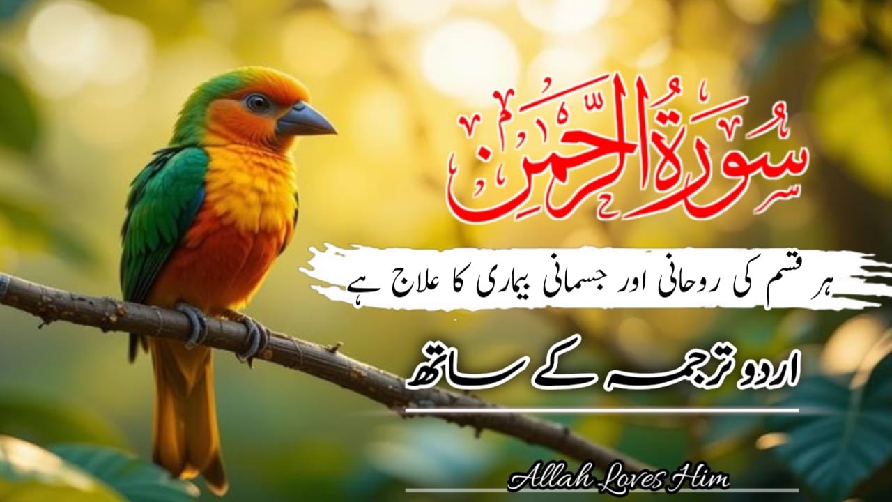 Surah Rahman Urdu Tarjuma k Sath🌿 | Qari Al Sheikh Abdul Basit Abdul Samad | Allah Loves Him