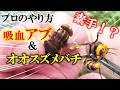 吸血アブとオオスズメバチの扱い方をプロが解説してみた