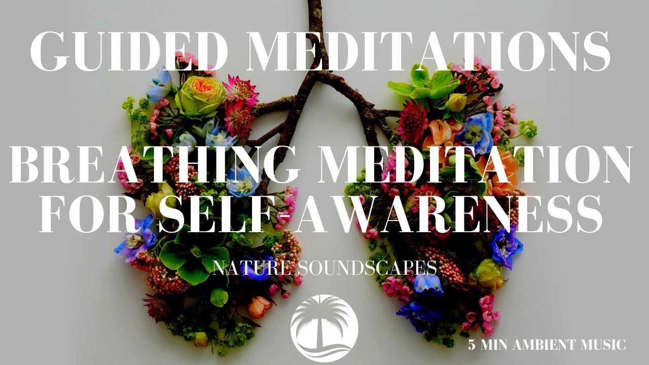 5 MINUTE GUIDED BREATHING MEDITATION FOR SELF-AWARENESS - YouTube