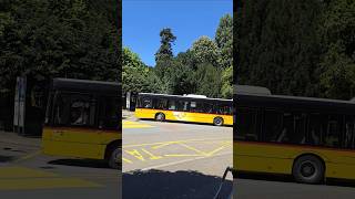 Postauto(Bus) Rheinfelden AG Schweiz🇨🇭#linienbus #postauto #autobus #busspotting #travel #öv #shorts