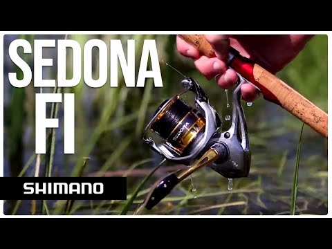 SHIMANO Sedona FI Gear Ratio 5.6:1 Spinning Fishing Reel (SE500FI)