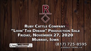Ruby Cattle Company “Livin’ The Dream” Production Sale 11/27/2020