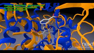 Functional Analysis: Inferring Molecular Interactions from Local Comparisons of Regions