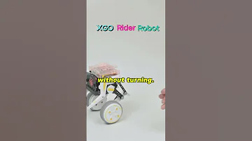 Fun Facts About XGO Rider Robots Xgo Ai Xgorider Xgoriderrobot Shorts Robot Microbit Viral 