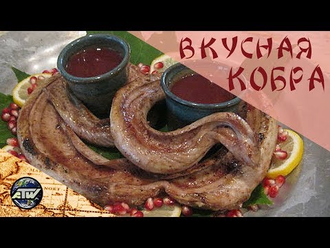 Змеиная деревня. Ужин из кобры | Nha Trang Snake Village | Нячанг | Вьетнам
