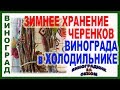 🍇 Зимнее хранение черенков винограда в ☃ холодильнике. ЧАСТЬ 1.