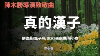 《真的汉子》 -刘德华 _ 甄子丹 _ 吴京 _ 张家辉-陈小春-陈木胜导演致敬曲『动态歌词 』