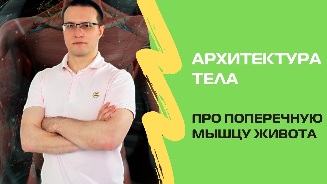 Про поперечную мышцу живота - YouTube