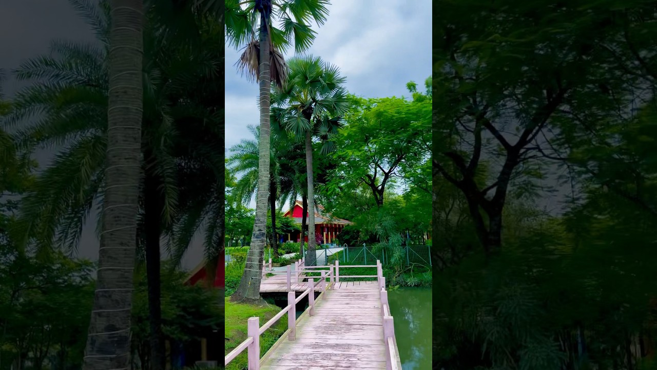 Newtown Forest Association | Walking in the Forest | Nature’s Paradise | 