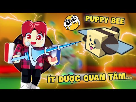 Câu Chuyện Về
