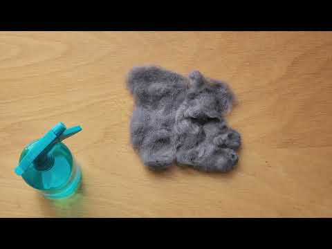 Prévisualiser la vidéo