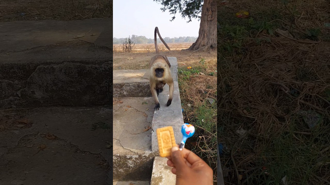She Came Forward… With Her Baby 🥺!