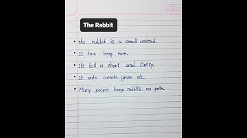 My Pet Rabbit | Essay On Rabbit | Rabbit Essay Writing In English | 10 Lines On Rabbit In English