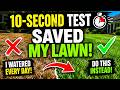 I Watered My Lawn Every Day… and Nearly Destroyed It 😱 | Golf Course Secret Revealed