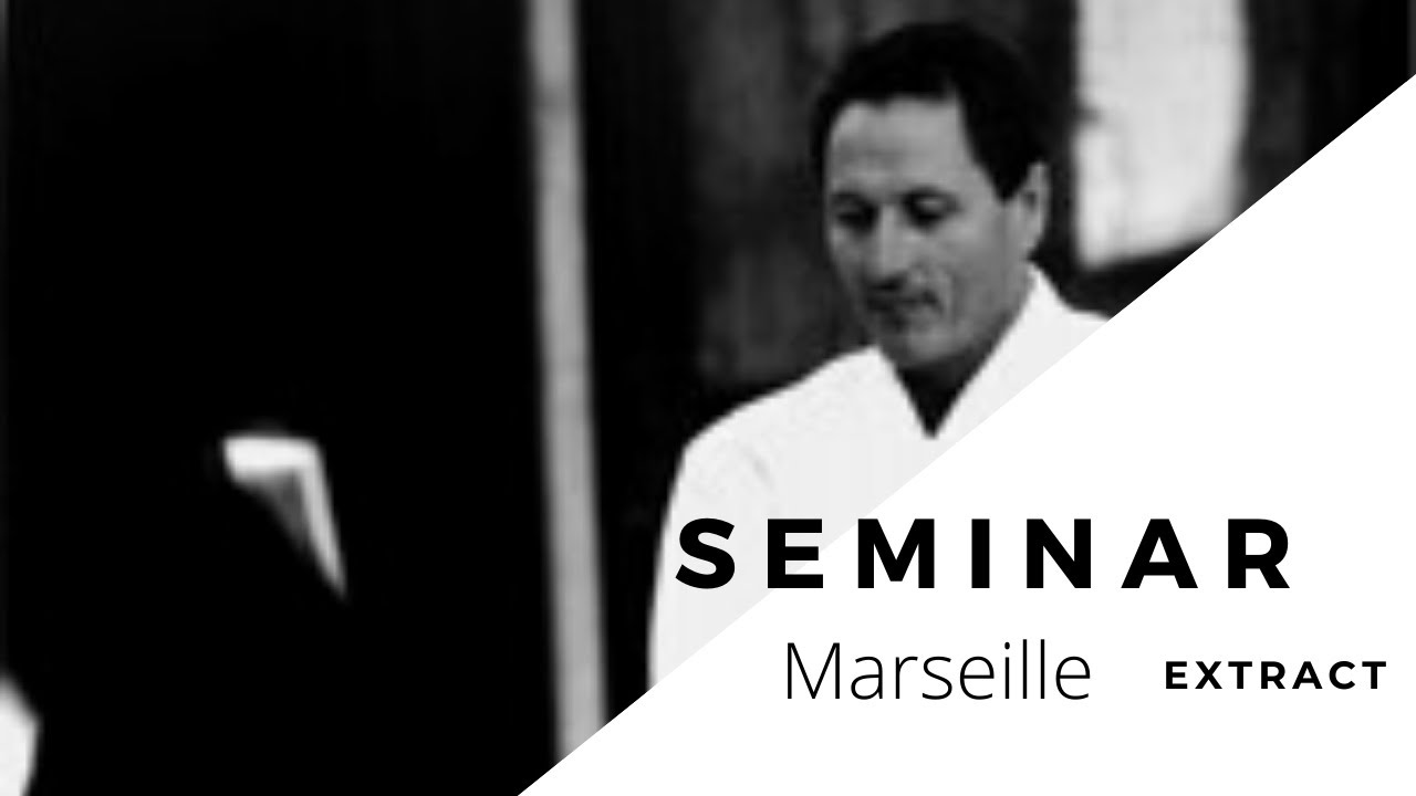 Aikido - Christian Tissier suwari waza / Yokomen uchi and much more