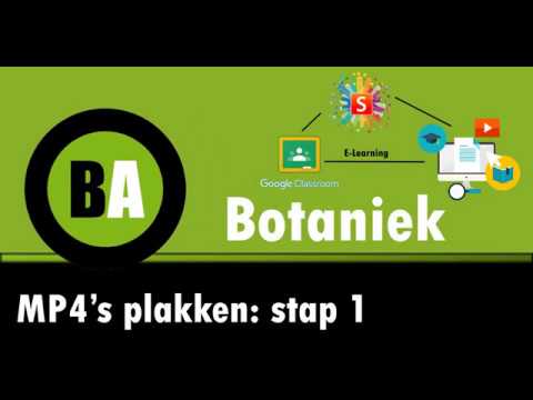 Converteer ELKE video naar MP4 met mijn nieuwe gratis tool!