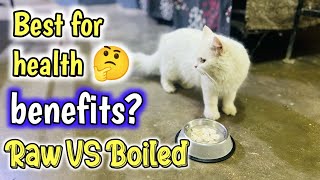 Raw VS Boiled Cat Food || Benefits of Raw meat nutrition for Cat || Raw meat diet for persian cats
