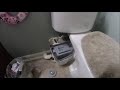 Ascent 2 upflush toilet PROBLEMS part1
