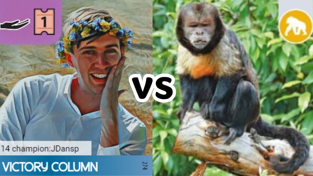 Ark Nova | The Ex-Arena Champ vs a Monkey