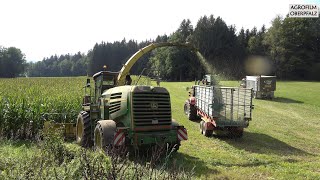 Frauenpower beim Maishäckseln - John Deere 7450 ProDrive - HG Grassersdorf