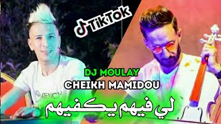 Succès Cheikh Mamidou & Dj Moulay Cha Bghitni Nzidhom لي فيهم يكفيهم