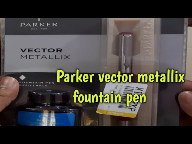 Parker Vector Standard Calligraphy Ct Fountain Pen (Blue) 