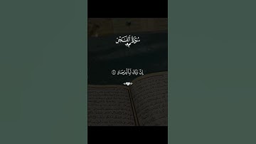 قرآن كريم #قرآن #المصحف #اكسبلور #quran #لايك