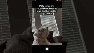 POV : you try and use ur besties dog for the roblox age check.... #roblox #robloxageverification