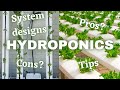 What Is Hydroponics And How Does It Work?