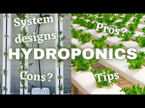 hydroponic garden