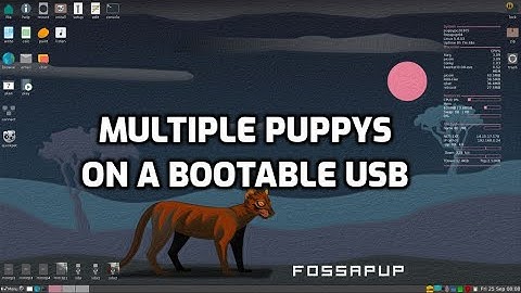Several puppylinux OS can be installed on a bootable USB with use of FrugalPup.
