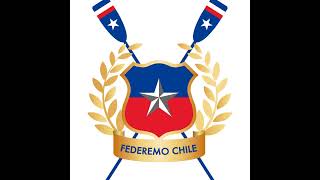 Campeonato sudamericano de menores, gran final.