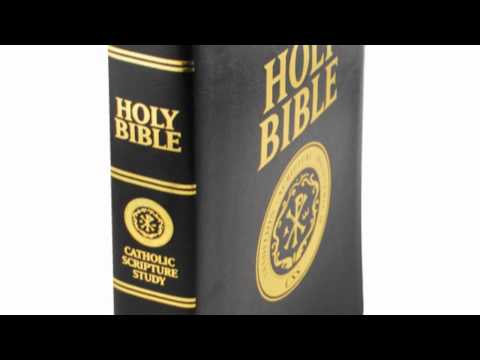 European Portuguese Bible DN54C - Brown by Bible Society