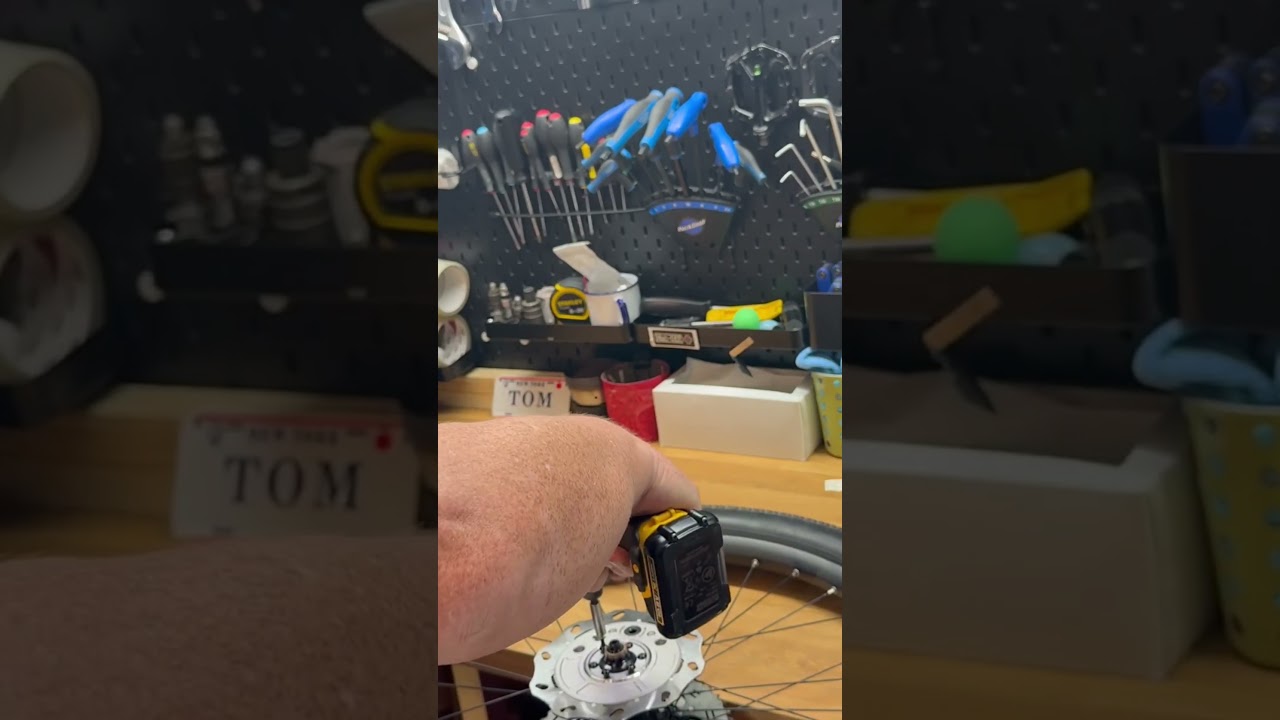 Electric DiskDrive E-Bike Brake Rotor | Skarper Fitting