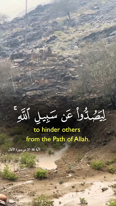 Quran Surah Recitation by Sheikh Sudeys quran_alkarim Masha Allah Allahu akbar
