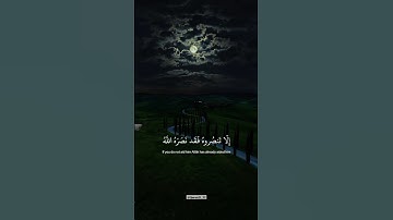 ﴿ إِلَّا تَنصُرُوهُ فَقَدْ نَصَرَهُ اللَّهُ ﴾ سورة التوبة || القارئ ماهر المعيقلي