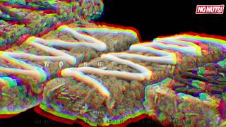 Something Better And Nut-Free