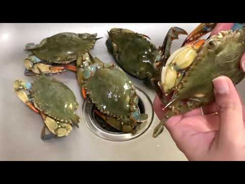 cleaning blue crab cleaning blue crab