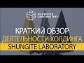 Краткий обзор деятельности холдинга Shungite Laboratory.