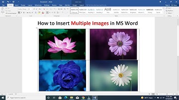 How to Insert Multiple Images in MS Word - MS Word Tutorial