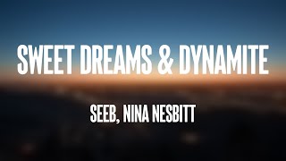 Sweet Dreams \& Dynamite - SeeB, Nina Nesbitt (Lyrics Video) 🌱